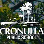 Free play online Cronulla Public School APK