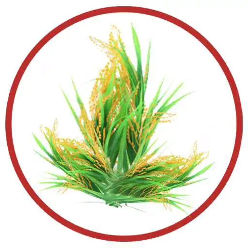 Play Crop Cutting Experiment APK