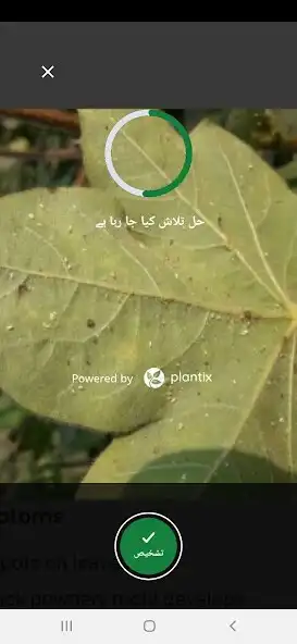 Play Cropwise Grower Pakistan as an online game Cropwise Grower Pakistan with UptoPlay