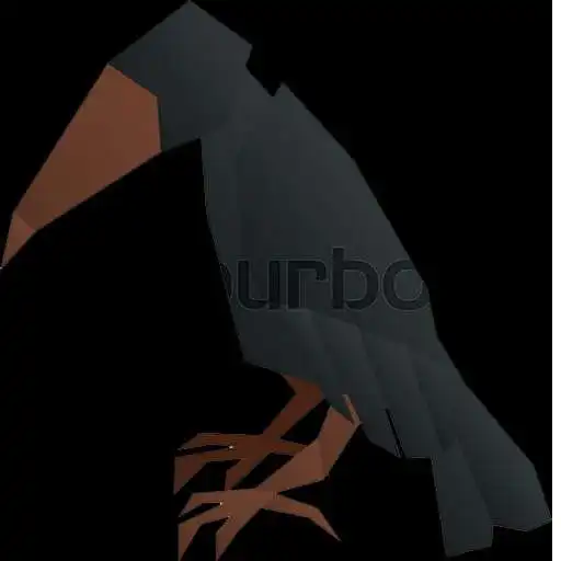 Play Crow Bird Fact APK Play Crow Bird Fact APK