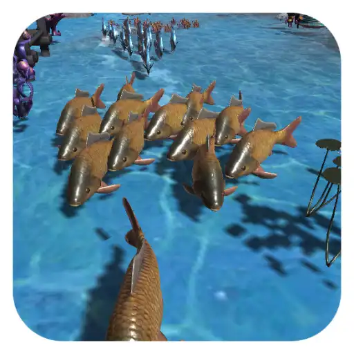 Play Crowd Sea Fish APK Play Crowd Sea Fish APK