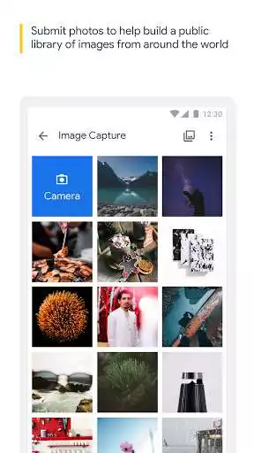 Play Crowdsource as an online game Crowdsource with UptoPlay