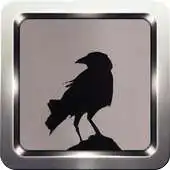 Free play online Crow Sound Collection APK