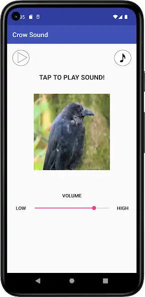 Play Crow Sound  and enjoy Crow Sound with UptoPlay