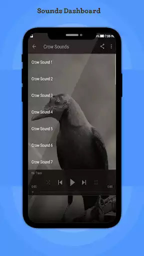 Play Crow Sounds as an online game Crow Sounds with UptoPlay