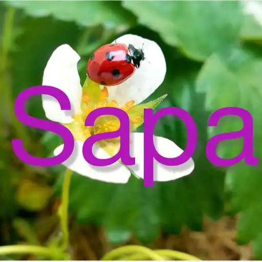Play crpsapa APK