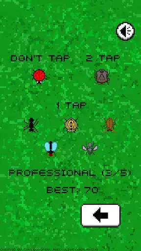 Play Crush insect Play Crush insect