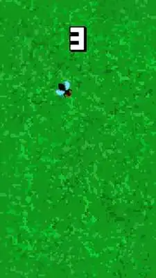 Play Crush insect Play Crush insect