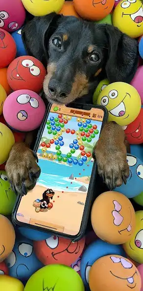 Play Crusoe Squeaky Ball Bubble POP  and enjoy Crusoe Squeaky Ball Bubble POP with UptoPlay