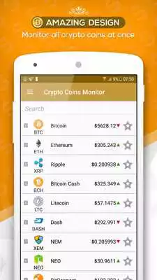 Play Crypto Coins Monitor