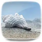Free play online Crystal seabed Live Wallpaper APK Free play online Crystal seabed Live Wallpaper APK