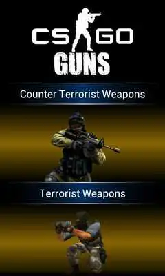 Play CS: Global Offensive Guns