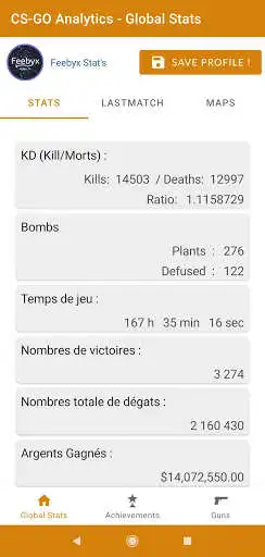 Play CS:GO Statistics