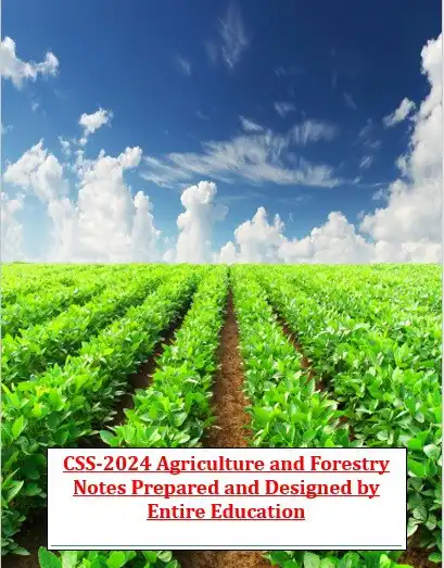 Play CSS Optional Notes  and enjoy CSS Optional Notes with UptoPlay