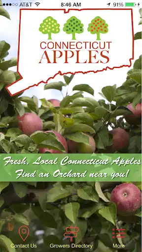 Play CT Apples  and enjoy CT Apples with UptoPlay