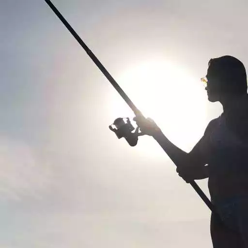 Play Cuaderno de Pesca APK