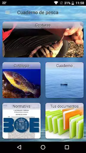 Play Cuaderno de Pesca