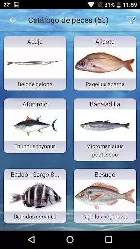 Play Cuaderno de Pesca