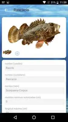 Play Cuaderno de Pesca