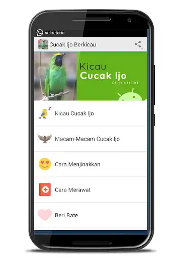 Play Cucak Ijo Berkicau and enjoy Cucak Ijo Berkicau with UptoPlay Play Cucak Ijo Berkicau and enjoy Cucak Ijo Berkicau with UptoPlay