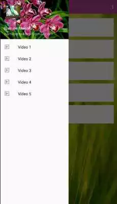Play Cucak Ijo Gacor Mp3 Play Cucak Ijo Gacor Mp3