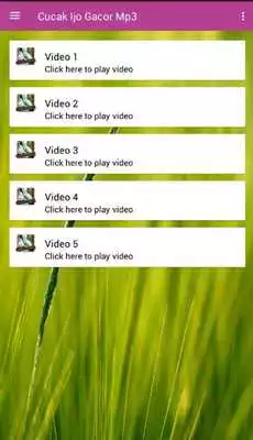 Play Cucak Ijo Gacor Mp3 Play Cucak Ijo Gacor Mp3