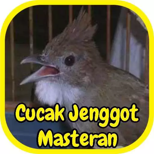 Free play online Cucak Jenggot Masteran Gacor APK Free play online Cucak Jenggot Masteran Gacor APK