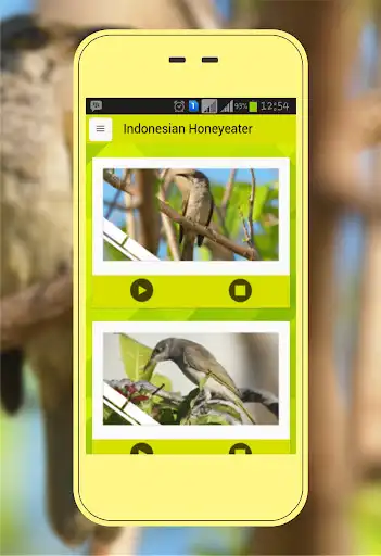 Play Cucak Kombo  and enjoy Cucak Kombo with UptoPlay
