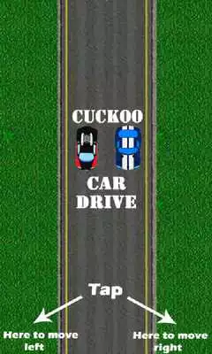 Play Cuckoo Car Drive