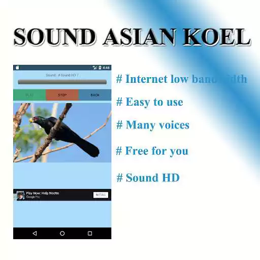Play Cuckoo sounds to birds. as an online game Cuckoo sounds to birds. with UptoPlay