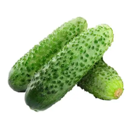 Play Cucumber: from Play Cucumber: from