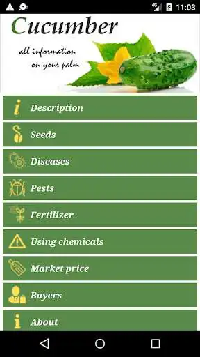 Play Cucumber: from 