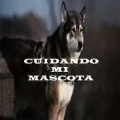 Free play online Cuidando Mi Mascota APK