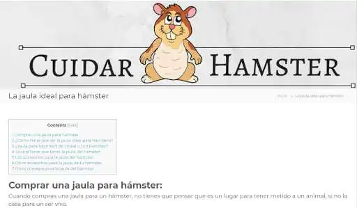 Play Cuidar hamster