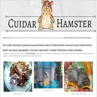 Play Cuidar hamster