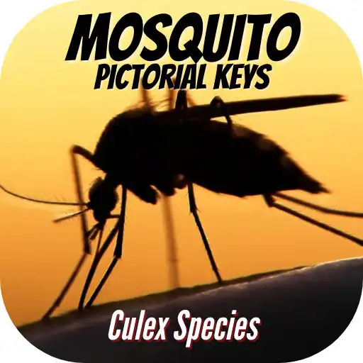 Play Culex (Mosquito Pictorial Keys) adult APK Play Culex (Mosquito Pictorial Keys) adult APK