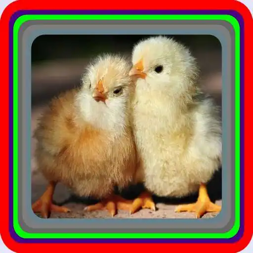 Play cultivation JOPER APK