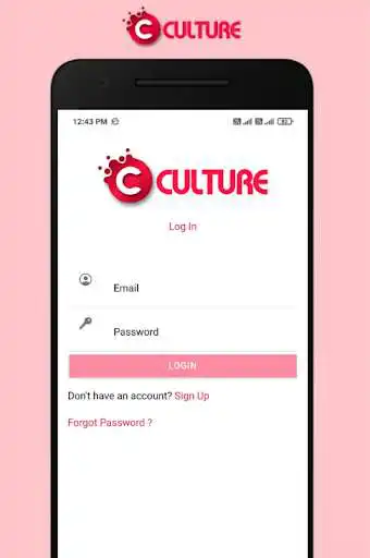 Play Culture