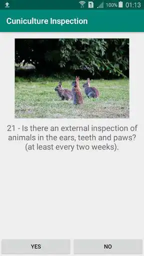 Play Cuniculture Inspection  and enjoy Cuniculture Inspection with UptoPlay