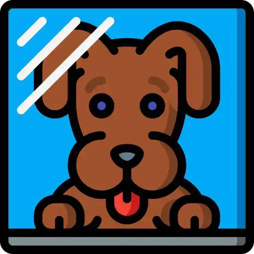 Play Curing Dog Separation Anxiety Audio Guide APK