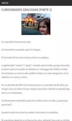 Play Curiosidades