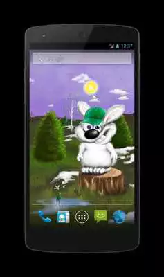 Play Curious Bunny Free