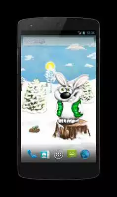 Play Curious Bunny Free