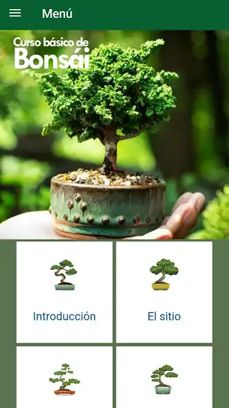 Play Curso básico de bonsái and enjoy Curso básico de bonsái with UptoPlay Play Curso básico de bonsái and enjoy Curso básico de bonsái with UptoPlay