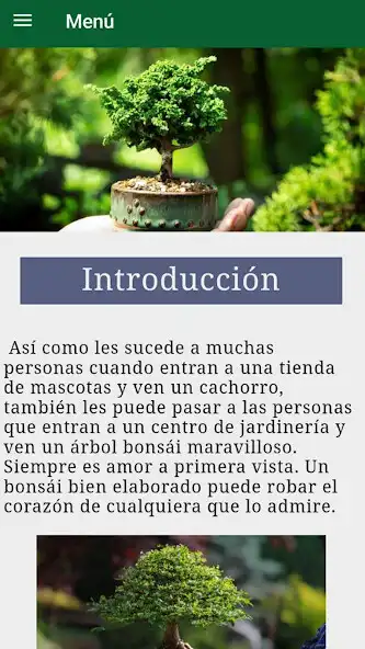 Play Curso básico de bonsái as an online game online Curso básico de bonsái with UptoPlay Play Curso básico de bonsái as an online game Curso básico de bonsái with UptoPlay