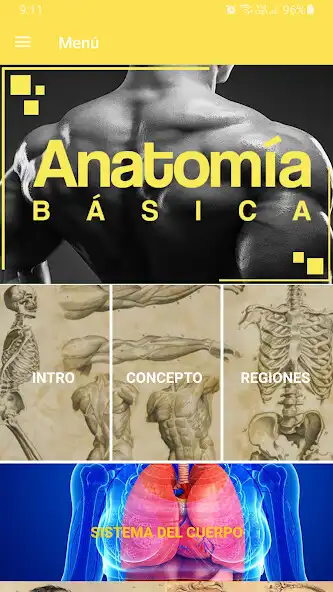 Play Curso de anatomía humana  and enjoy Curso de anatomía humana with UptoPlay
