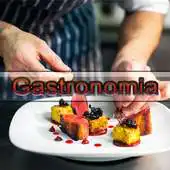Free play online Curso de Gastronomia APK