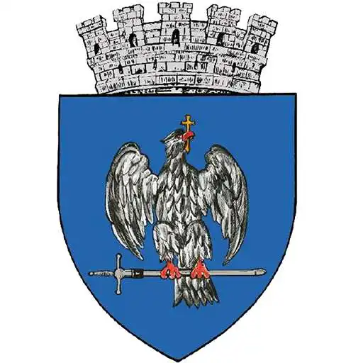 Play Curtea de Arges CityApp APK