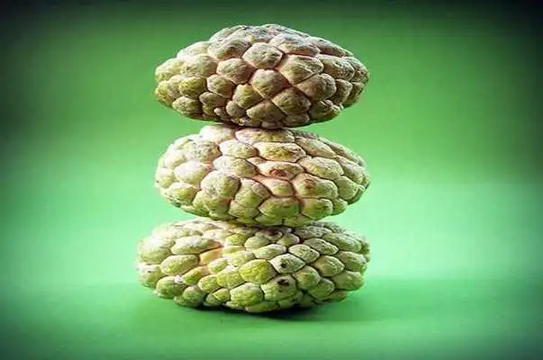 Play Custard Apple For Health