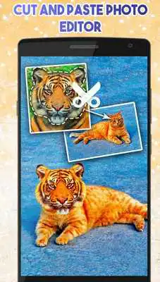 Play Cut and paste photo editor